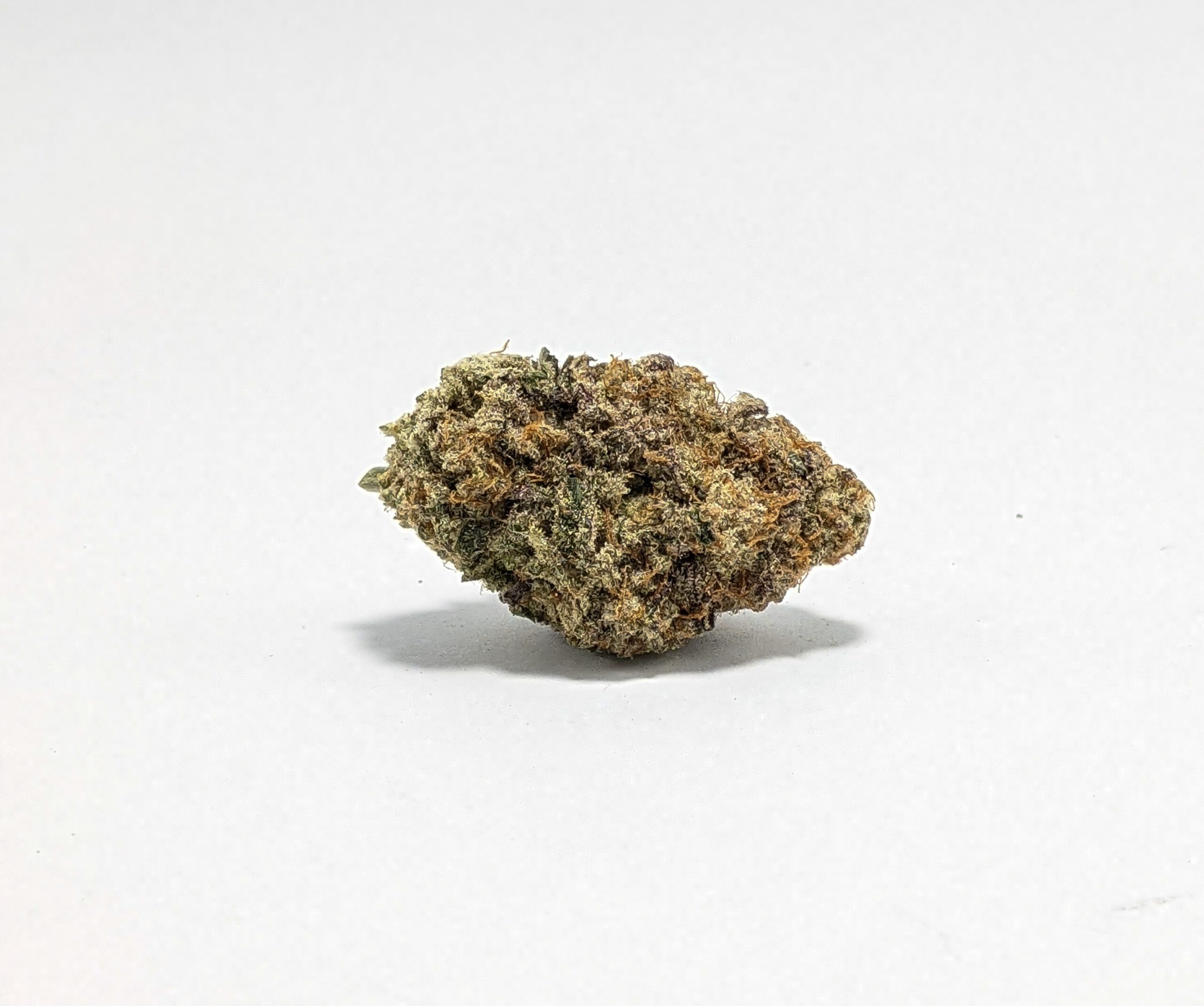 9 Pound Hammer (AAA+)1