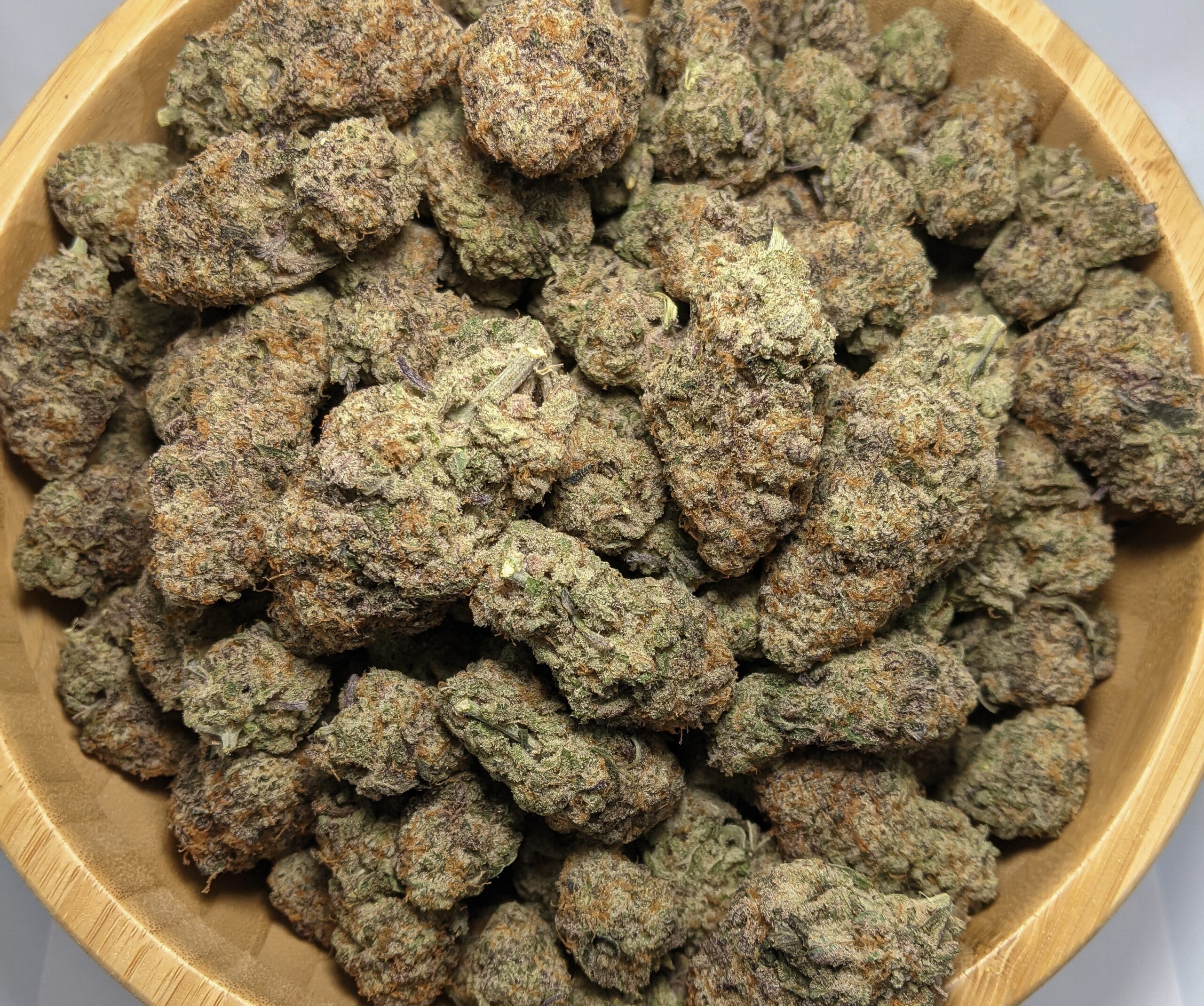 9 Pound Hammer (AAA+)2
