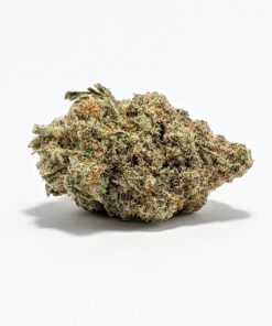 Grease Monkey