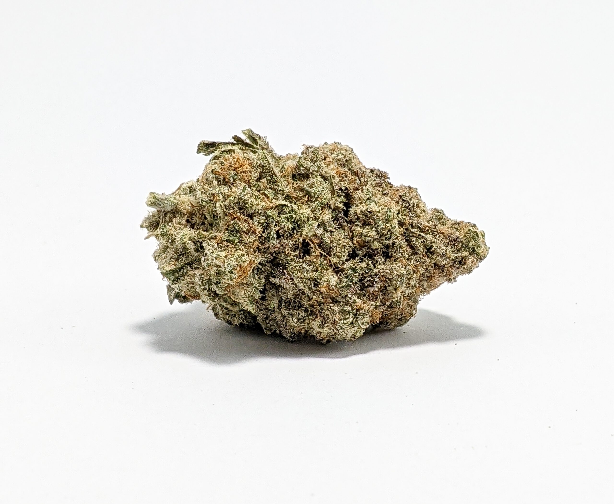 Grease Monkey (AAA)1