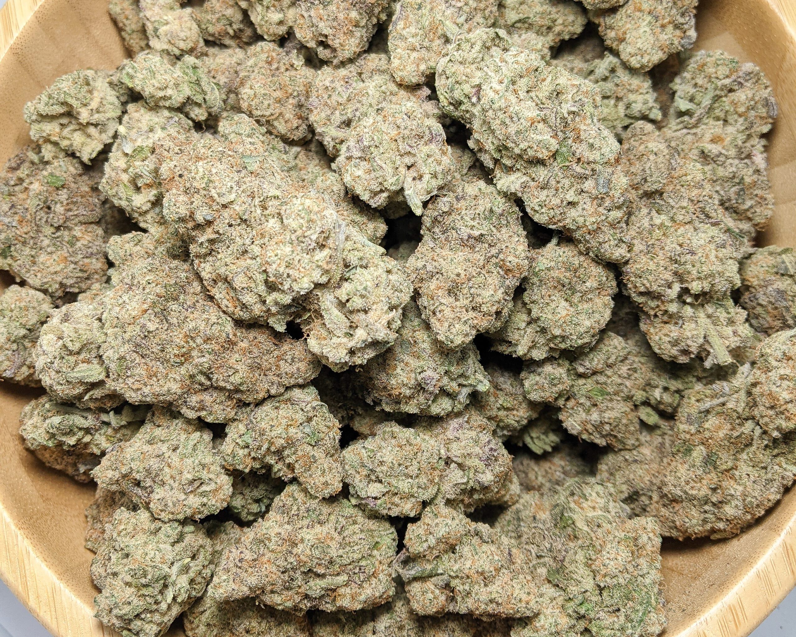 Grease Monkey (AAA)2