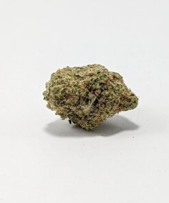 Northern Light