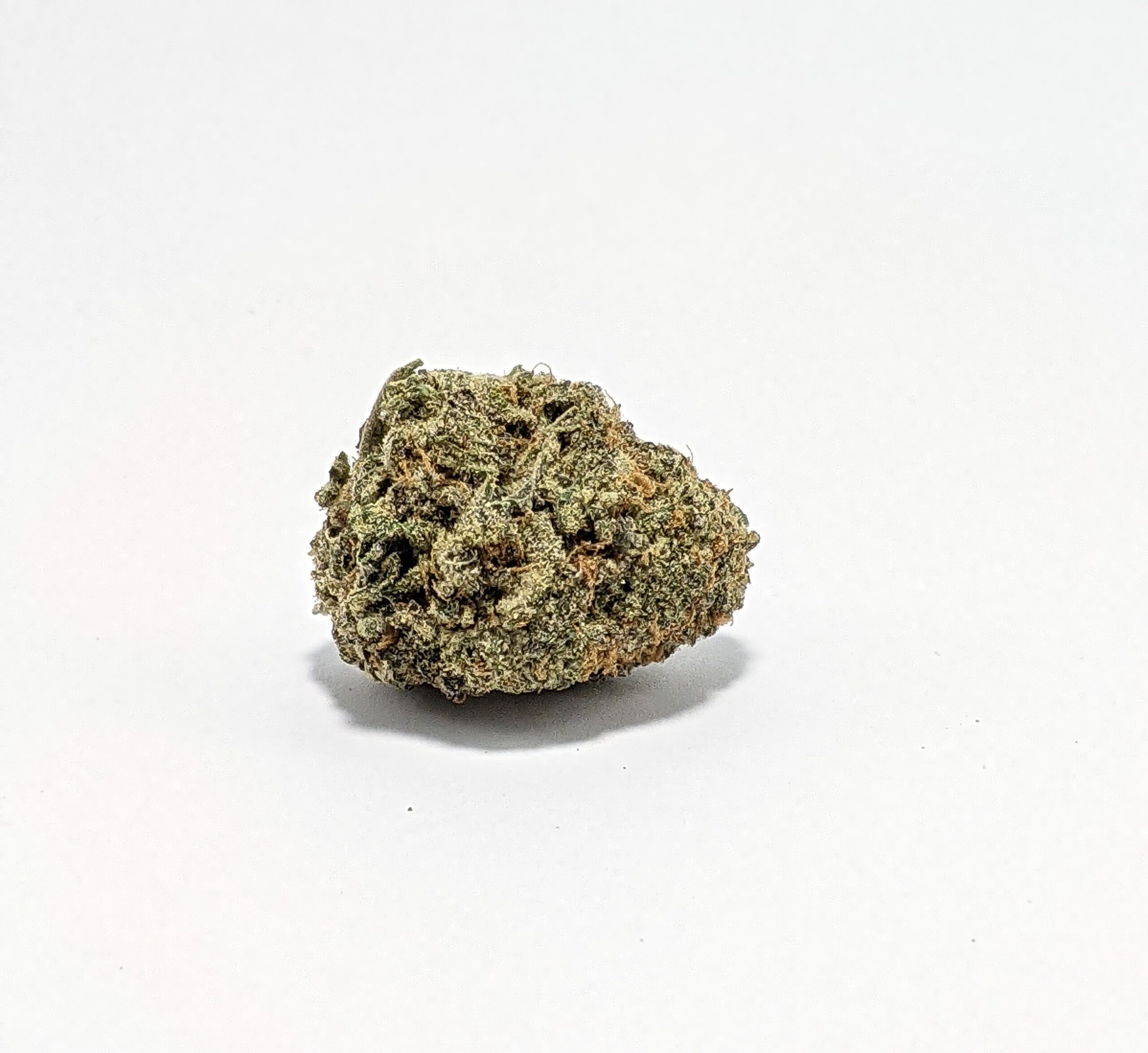Pot of Gold (AAA+)1