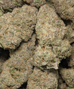 Pre 98 Bubba Kush